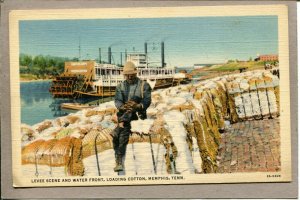  Postcard TN Memphis Levee Water Front Loading Cotton Paddle Wheel Boat 2415N