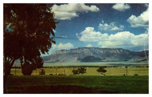 Postcard MOUNTAIN SCENE Albuquerque New Mexico NM AS4401