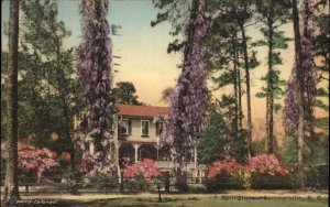 Summerville South Carolina SC Spring Scene Albertype Vintage Postcard