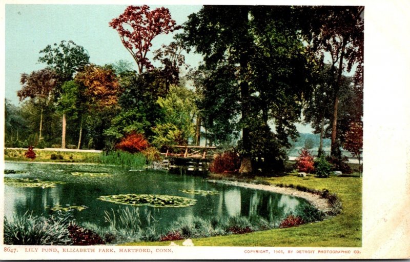 Connecticut Hartford Elizabeth Park Lily Pond Detroit Publishing