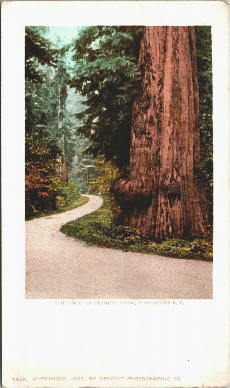 Canada Driveway in Stanley Park Vancouver British Columbia Postcard 04.16