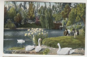 P2183 old postcard swans & people at east lake park los angles calif