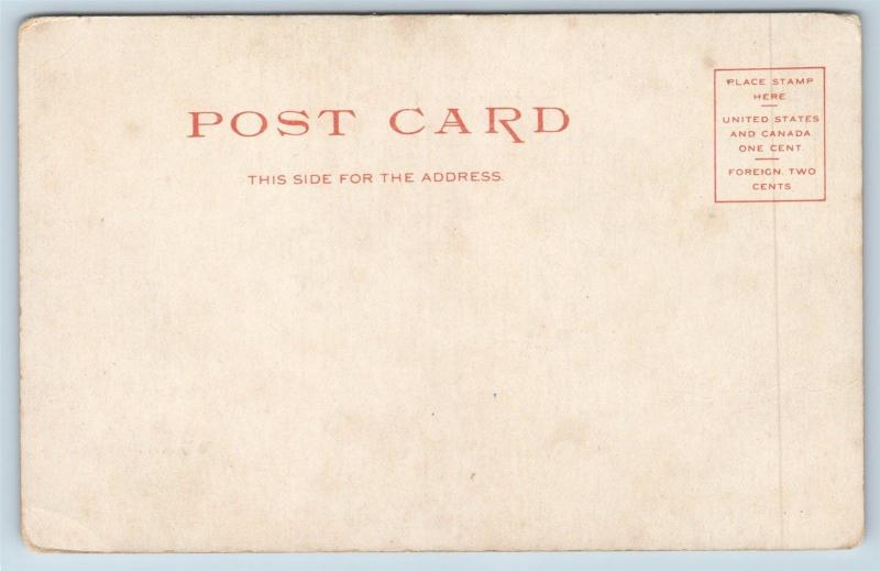 Postcard NM Albuquerque Navaho Bayetta Blanket Fred Harvey Collection c1907 M10