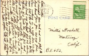 Kasson, MN Minnesota  TREE LINED ROAD Greetings DODGE COUNTY 1944 Linen Postcard