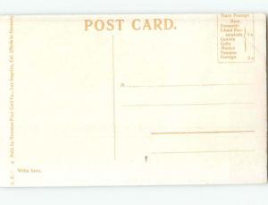 Div-Back FOUNTAIN AT SHASTA SPRINGS HOTEL IN DUNSMUIR By Mt. Shasta CA Q6713