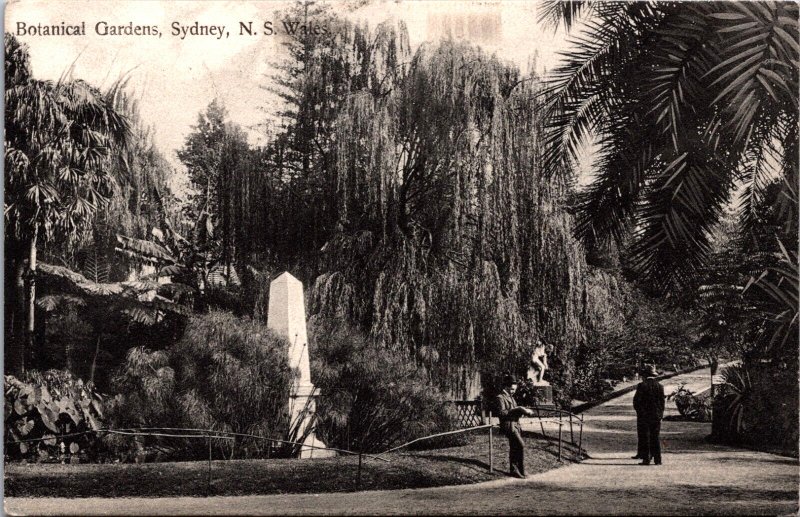 Australia Botanical Gardens Sydney New South Wales Postcard C028