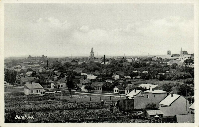 ukraine russia, BEREHOVE Берегове, Panorama (1930s) Postcard