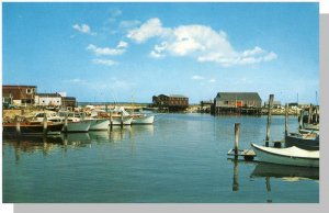 Nice Barnstable, Massachusetts/Ma Postcard, Harbor Scene, Cape Cod