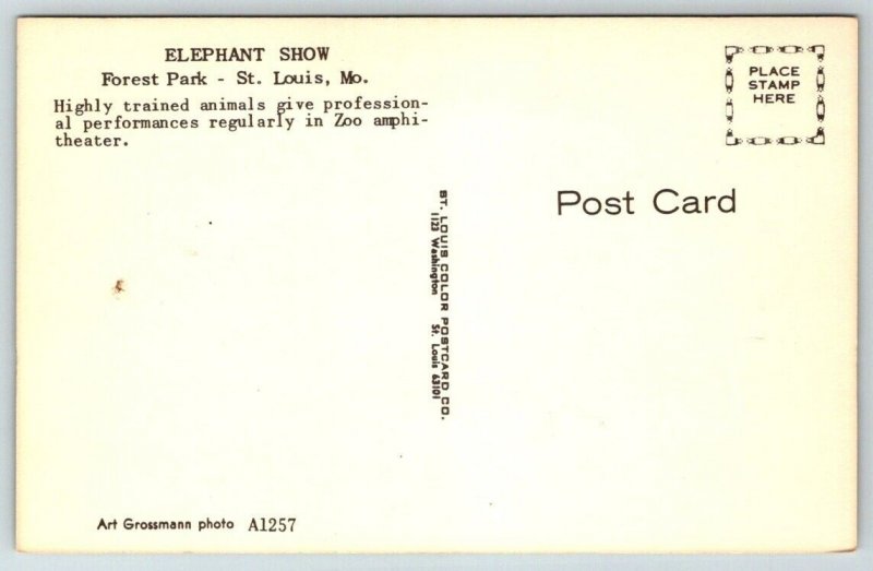 St. Louis  Missouri  Forest Park  Elephant Show  Postcard