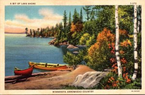 Minnesota Arrowhead Country Lake Shore Scene Curteich