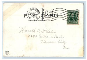 1907 Bridge In Miller Park Bloomington Illinois IL Posted Antique Postcard 