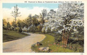 Dogwood, Vanderbilt Road, Biltmore Forest Asheville, North Carolina NC