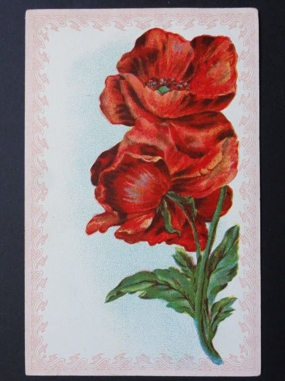 Poppy Postcard: POPPY c1911 by E.C.C. Series - Inc Donation to R.B.L.