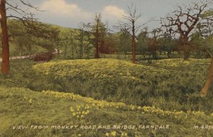 Monket Road Farndale Postcard