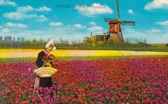 Holland Keukenhof Tulip Time Land Of Flowers and Windmills