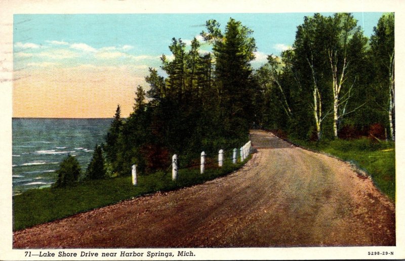 Michigan Lake Shore Drive Near Harbor Springs 1954 Curteich