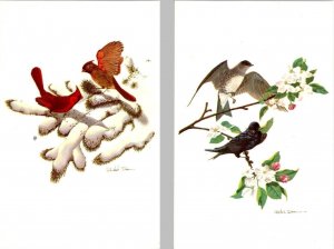 2~Postcards CARDINAL & PURPLE MARTIN BIRDS By Wildlife Artist RICHARD SLOAN