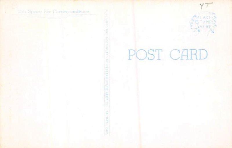 Monkeys Disgrace Monkey Unused 