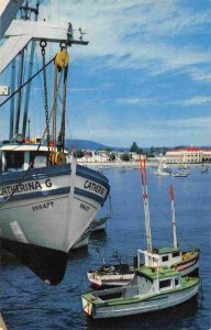 Fishing Boats Santa Cruz California postcard