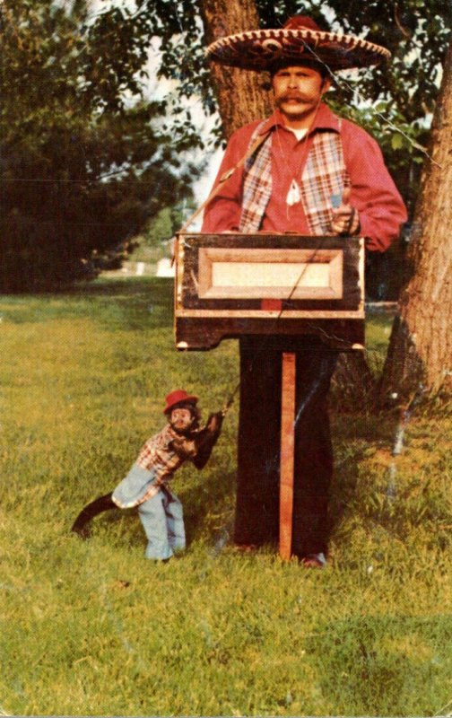 Dennis Windsor The Musical Organ Grinder and His Monkey