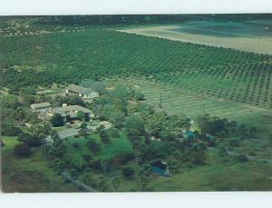 Unused Pre-1980 AERIAL VIEW Alton - Near Mission & Edinburg Texas TX hn3172@