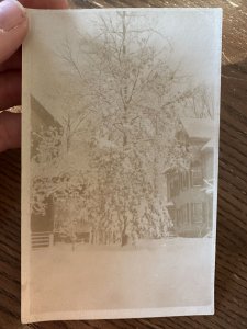 RPPC-EARLY Antique REAL PHOTO Postcard Tree With Snow