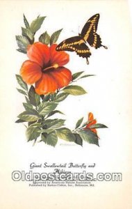 Giant Swallowtail Butterfly & Hibiscus Artist RT Peterson Unused 