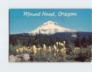 Postcard Mt. Hood, Oregon