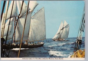 Schooner Race In The Blue Atlantic Waters, Nova Scotia, Chrome Postcard