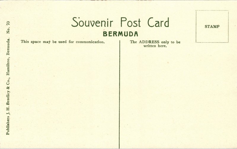 Postcard Bermuda Hamilton Cricket Field