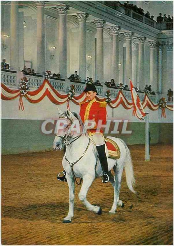 'Postcard Modern Vienna''s Spanish Riding School Horses'
