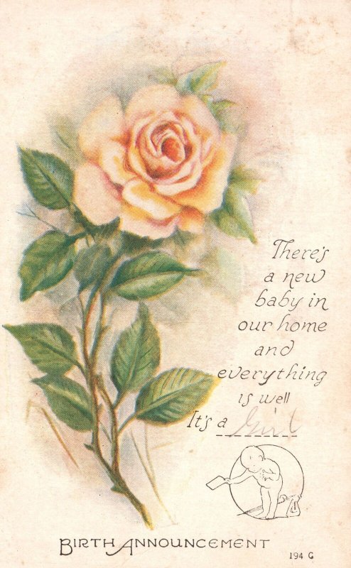 Vintage Postcard 1921 Birth Announcement Large Print Rose Flower New Baby Home