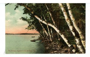 ME - Bridgton. Highland Lake & Birches
