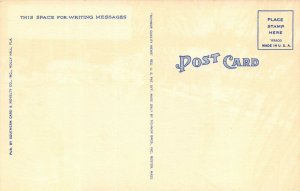 LP94 Ormond Beach  Florida Postcard Ellinor Village Country Club Swimming Pool