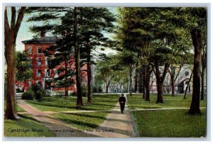 Cambridge Massachusetts MA Postcard Harvard College Yard Library c1911 Vintage