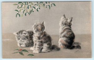 N. PARKER Artist Signed FLUFFY KITTENS ca 1910s M.M. Vienne Cat Postcard