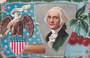 President Washington Portrait on Ax, Cherries, Stars & Stripes, Eagle, PU-1911