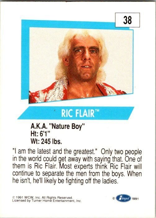 1991 WCW Wrestling Card Ric Flair sk21160