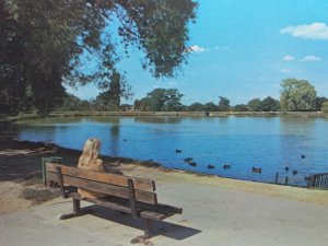 Lady Watching Ducks at Lake Meadows Billericay Essex New Vintage Postcard 1970s