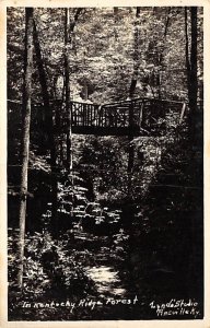 KY Ridge Forest real photo Annville KY
