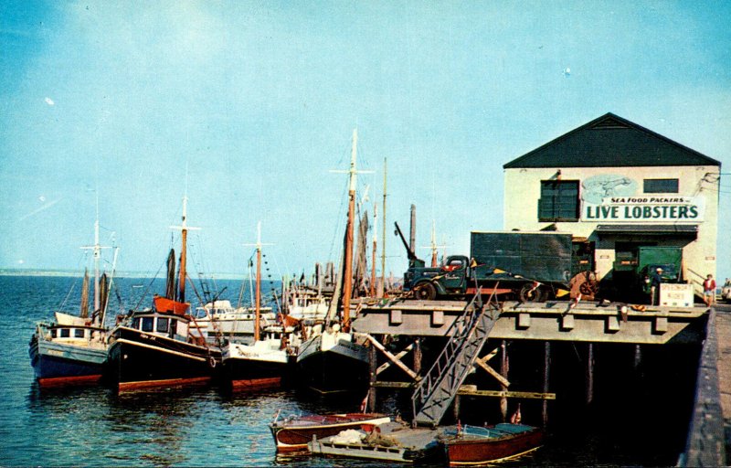 Massachusetts Cape Cod Provincetown Fishing Boats At Town Wharf