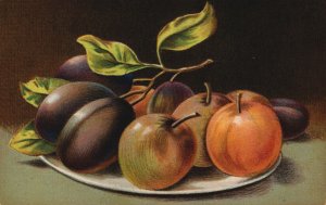 Still Life Fruit Plums Vintage Postcard C314