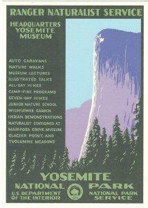 Yosemite National Park California WPA Art Poster Card  4 by 6