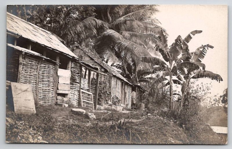 RPPC Native Dwellings Cabins Huts Tropical Palm Trees Real Photo Postcard A50