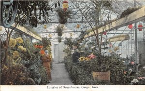 J69/ Osage Iowa Postcard c1910 Interior of Greenhouse Flowers Florist 109