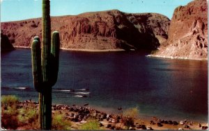 Canyon Lake Arizona AZ Cactus Postcard VTG UNP Curteich Vintage Unused 
