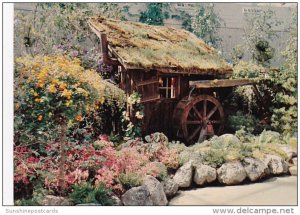 Canada British Columbia Vancouver Bloedel Conservatory Miner's Cabin Que...