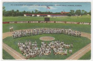 Little League Baseball Dunedin Florida linen postcard