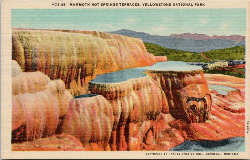 Yellowstone National Park Mammoth Hot Springs Terraces Haynes Linen Postcard G54