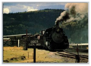 Postcard CO C&TS Train Stop At Osier For Lunch Continental Card